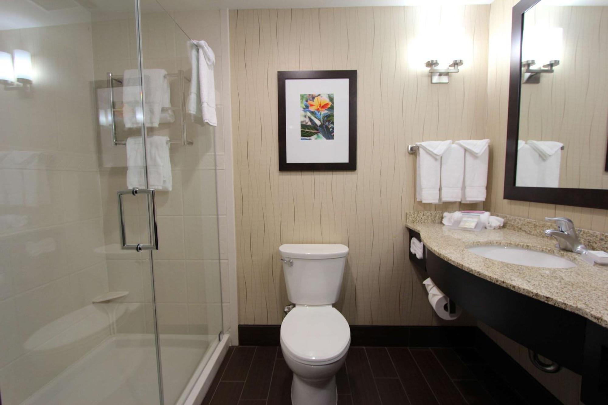 Hilton Garden